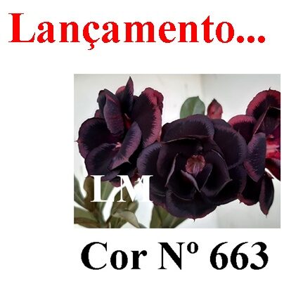 ENXERTO 12219 – 20cm (cor LM 663) - foto 9