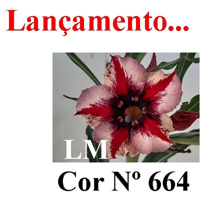ENXERTO 12474 – 20cm (cor LM 664) - foto 7