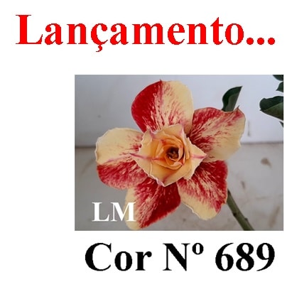ENXERTO 7944 – 22cm (Cor LM 689)