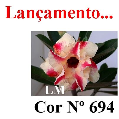 ENXERTO 11868 – 30cm (cor LM 694)