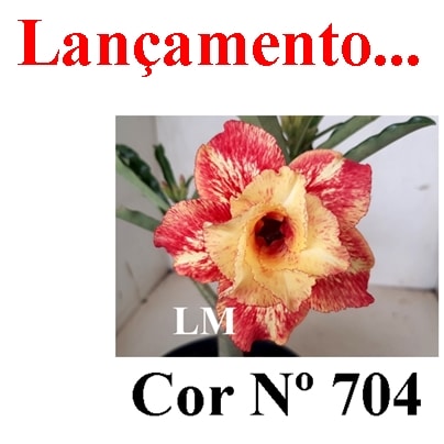 ENXERTO 11690 – 25cm (cor LM 704)