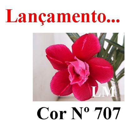 ENXERTO 11761 – 25cm (cor LM 707)