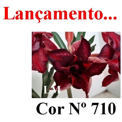ENXERTO 11766 – 25cm (cor LM 710)