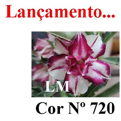 ENXERTO 11845 – 20cm (cor LM 720)