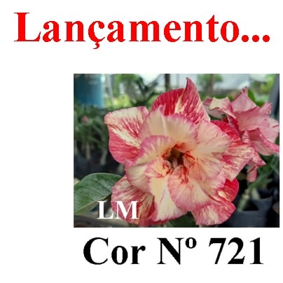 ENXERTO 7239 – 20cm (cor LM 721)
