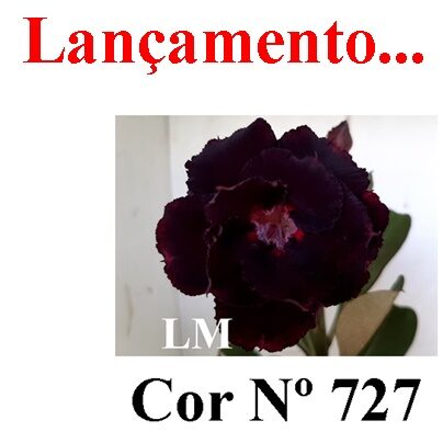 ENXERTO 11867 – 25cm (cor LM 727)
