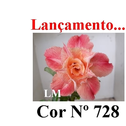 ENXERTO 11787 – 20cm (cor LM 728)