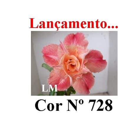 ENXERTO 12047 – 20cm (cor LM 728)