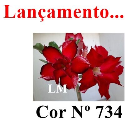 ENXERTO 12060 – 30cm (cor LM 734)
