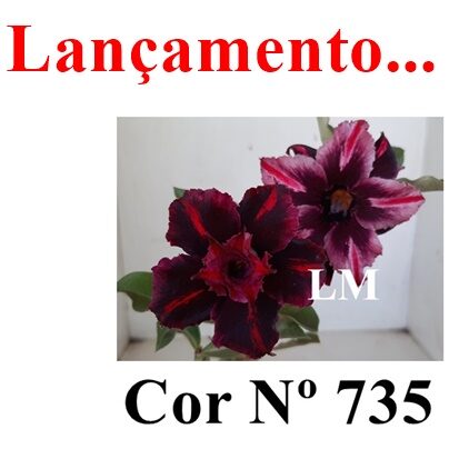 ENXERTO 12563 – 20cm (cor LM 735) - foto 7