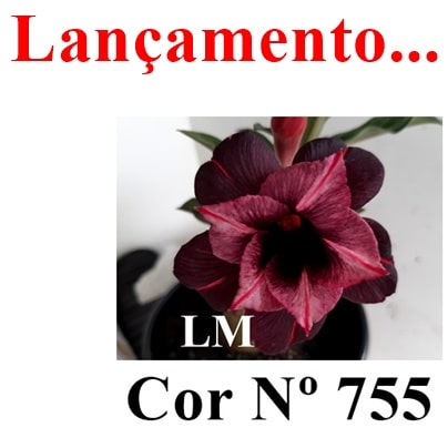 ENXERTO 11783 – 30cm (cor LM 755)