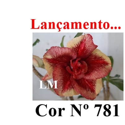 ENXERTO 12586 – 20cm (cor LM 781) - foto 7