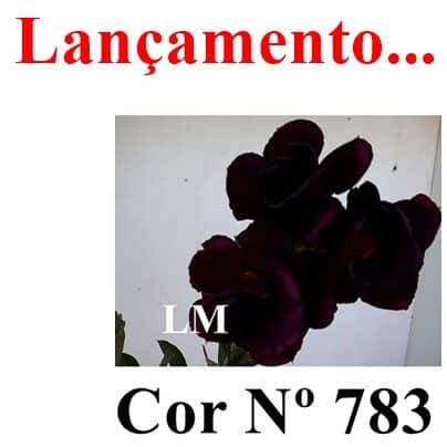 ENXERTO 12133  – 20cm (cor LM 783) - foto 7