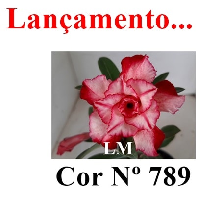 ENXERTO 10121 – 22cm (cor LM 789)