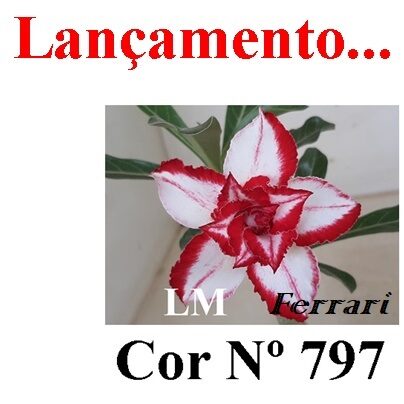ENXERTO 12146  – 20cm (cor LM 797) Id: FERRARI - foto 7