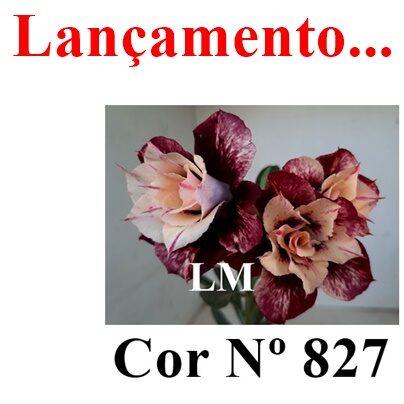 ENXERTO 11842 – 20cm (cor LM 827)