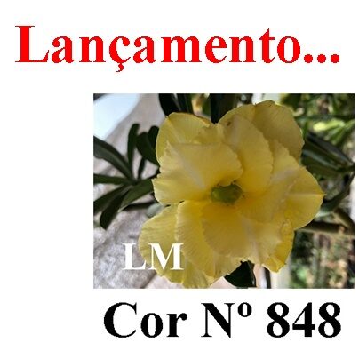 ENXERTO 11921 – 40cm (cor LM 636 e LM 848)