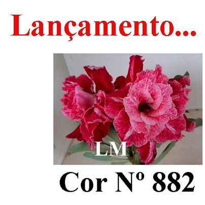 ENXERTO 12274 – 30cm (cor LM 882) - foto 7