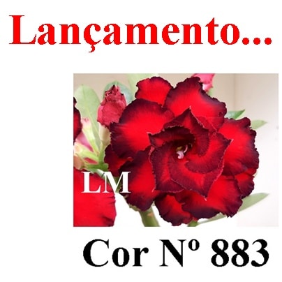 ENXERTO 11715 – 25cm (cor LM 883)