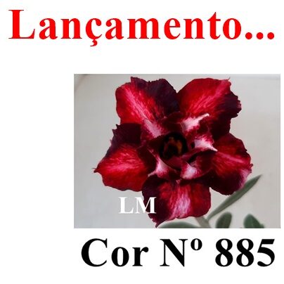 ENXERTO 11938 – 20cm (cor LM 885)