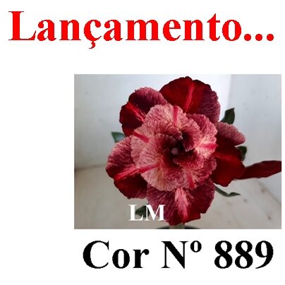 ENXERTO 12073 – 20cm (cor LM 889)