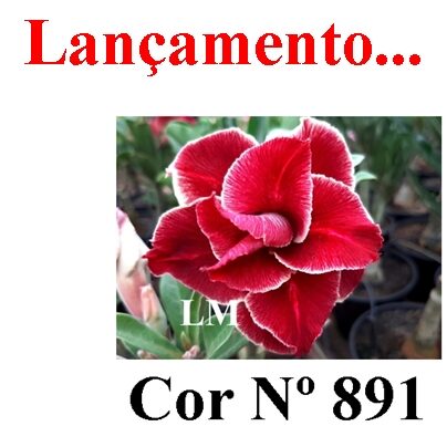ENXERTO 12116  – 20cm (cor LM 891) - foto 6