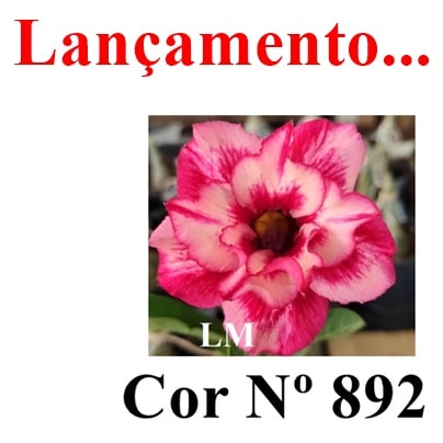 ENXERTO 11230 - 25cm (cor LM 892)
