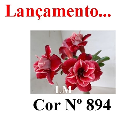 ENXERTO 11305 - 25cm (cor LM 894)