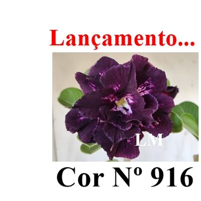 ENXERTO 12315 – 20cm (cor LM 916) - foto 8