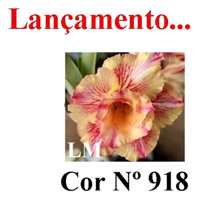 ENXERTO 12445 – 20cm (cor LM 918) - foto 7