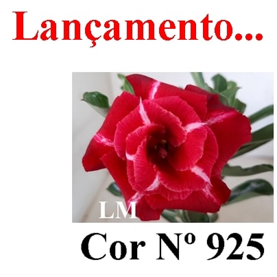 ENXERTO 11755 – 30cm (cor LM 925)