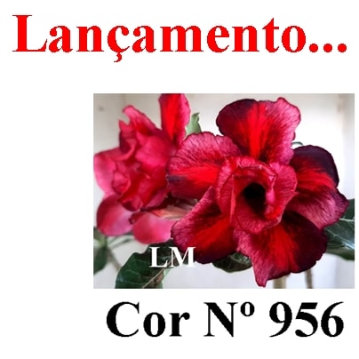 ENXERTO 11679 – 30cm (cor LM 956)