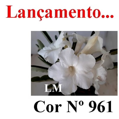 ENXERTO 11718 – 20cm (cor LM 961)