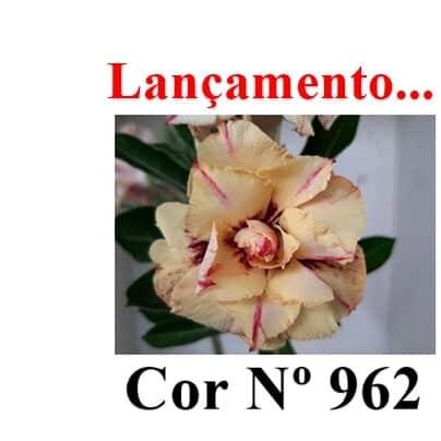 ENXERTO 11821 – 20cm (cor LM 962)