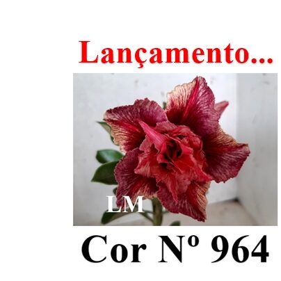 ENXERTO 12225 – 20cm (cor LM 964) - foto 9