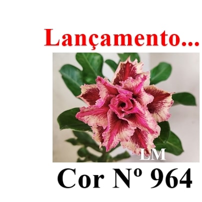 ENXERTO 12587 – 20cm (cor LM 964) - foto 7