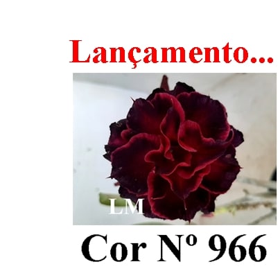 ENXERTO 11760 – 20cm (cor LM 966)