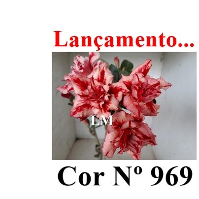 ENXERTO 12187 – 20cm (cor LM 969) - foto 7