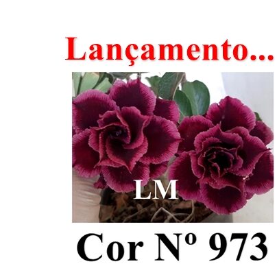ENXERTO 12462 – 25cm (cor LM 973) - foto 7