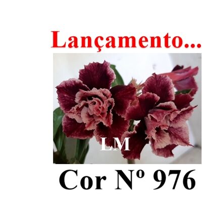 ENXERTO 12423 – 20cm (cor LM 976) - foto 8