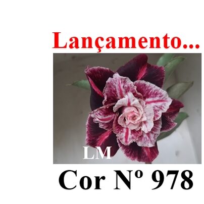 ENXERTO 11848 – 20cm (cor LM 978)