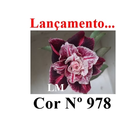 ENXERTO 11798 – 20cm (cor LM 978)