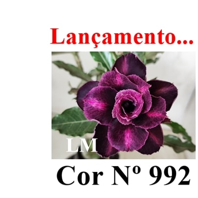 ENXERTO 11742 – 20cm (cor LM 992)