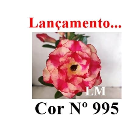 ENXERTO 12379 – 20cm (cor LM 995) - foto 9