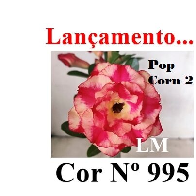 ENXERTO 12569 – 20cm (cor LM 995) Id: POP CORN 2 - foto 7