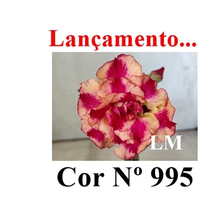 ENXERTO 11941 – 20cm (cor LM 995)