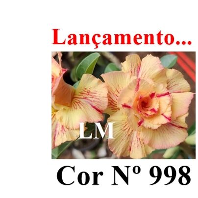 ENXERTO 12096  – 20cm (cor LM 998) - foto 9