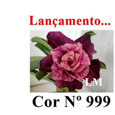 ENXERTO 11873 – 20cm (cor LM 999)