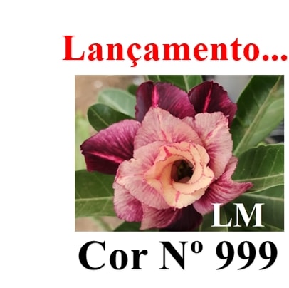 ENXERTO 11734 – 20cm (cor LM 999)