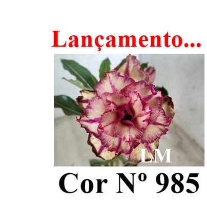 ENXERTO 11896 – 20cm (cor LM 985)